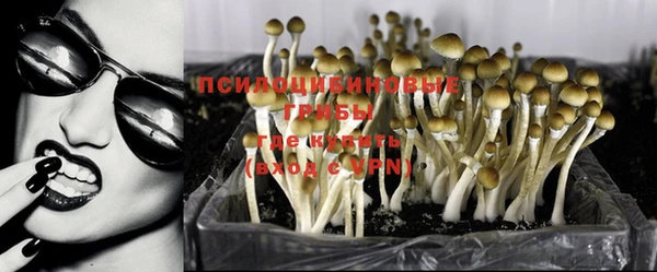 Альфа ПВП Алексеевка