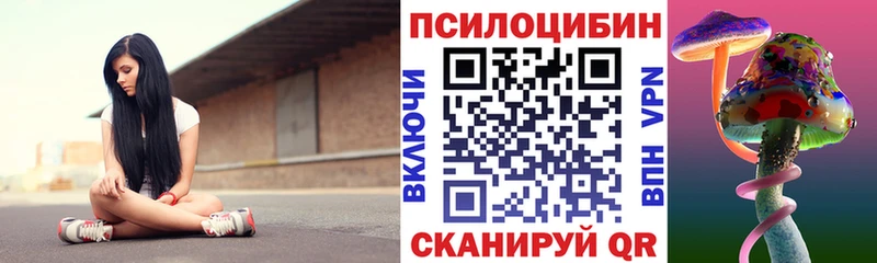 Псилоцибиновые грибы мухоморы  купить наркоту  Родники 